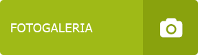 Fotogaleria